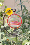 Best Small Glass Hummingbird Feeder with Red Perch - New Bee & Wasp Proof Design - Hummers Love This Feeder! - We Love Hummingbirds