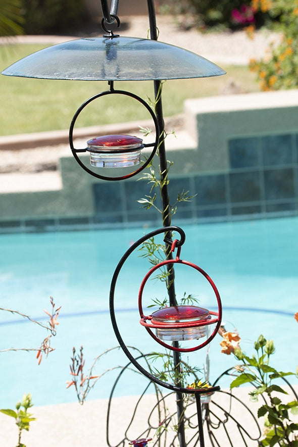 Best Small Glass Hummingbird Feeder with Red Perch - New Bee & Wasp Proof Design - Hummers Love This Feeder! - We Love Hummingbirds