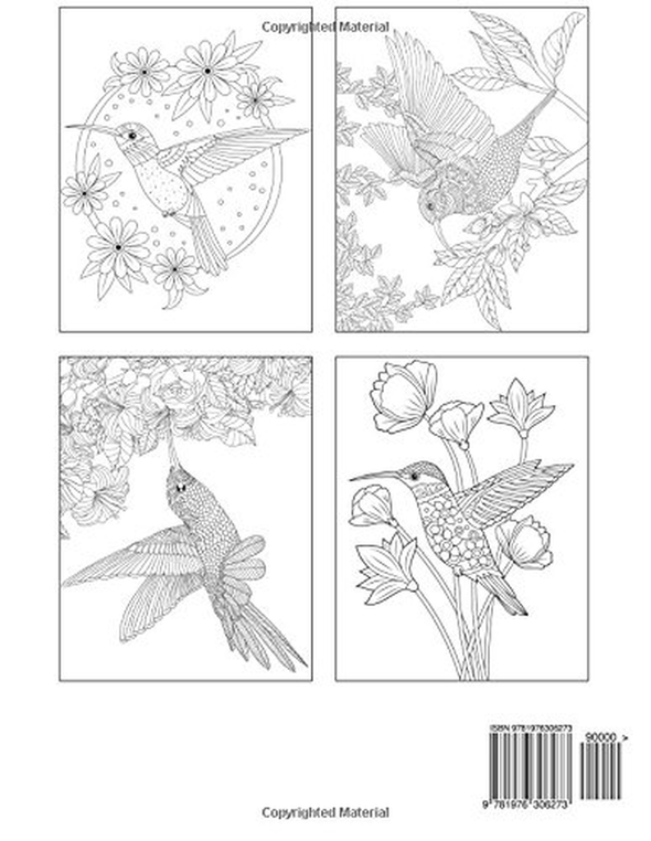Big Book of Hummingbirds Adult Coloring Book (Premium Adult Coloring Books) - We Love Hummingbirds