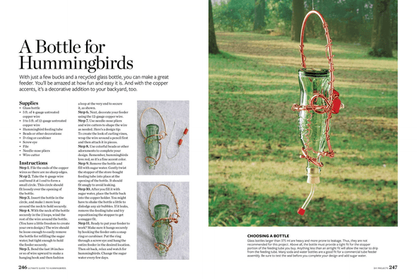 Birds & Blooms Ultimate Guide to Hummingbirds: Discover the Wonders of One of Nature'S Most Magical Creatures - We Love Hummingbirds