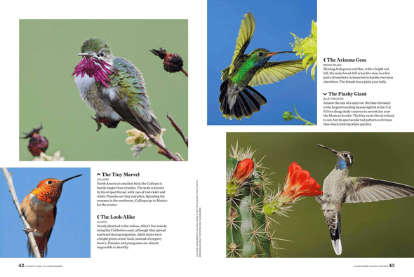 Birds & Blooms Ultimate Guide to Hummingbirds: Discover the Wonders of One of Nature'S Most Magical Creatures - We Love Hummingbirds