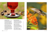 Birds & Blooms Ultimate Guide to Hummingbirds: Discover the Wonders of One of Nature'S Most Magical Creatures - We Love Hummingbirds