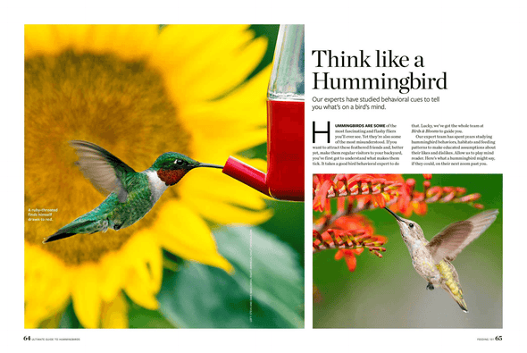 Birds & Blooms Ultimate Guide to Hummingbirds: Discover the Wonders of One of Nature'S Most Magical Creatures - We Love Hummingbirds