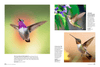 Birds & Blooms Ultimate Guide to Hummingbirds: Discover the Wonders of One of Nature'S Most Magical Creatures - We Love Hummingbirds