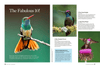Birds & Blooms Ultimate Guide to Hummingbirds: Discover the Wonders of One of Nature'S Most Magical Creatures - We Love Hummingbirds