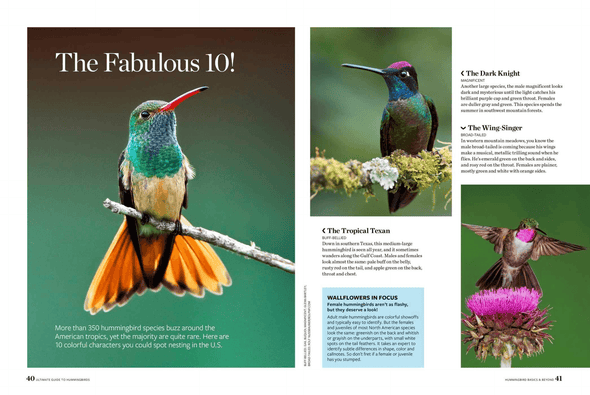 Birds & Blooms Ultimate Guide to Hummingbirds: Discover the Wonders of One of Nature'S Most Magical Creatures - We Love Hummingbirds