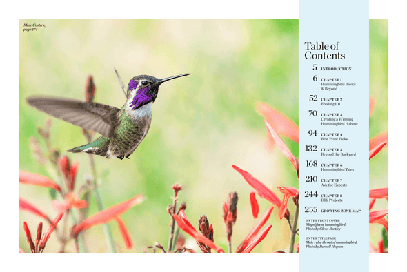 Birds & Blooms Ultimate Guide to Hummingbirds: Discover the Wonders of One of Nature'S Most Magical Creatures - We Love Hummingbirds