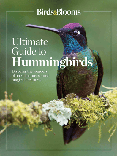 Birds & Blooms Ultimate Guide to Hummingbirds: Discover the Wonders of One of Nature'S Most Magical Creatures - We Love Hummingbirds