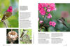 Birds & Blooms Ultimate Guide to Hummingbirds: Discover the Wonders of One of Nature'S Most Magical Creatures - We Love Hummingbirds