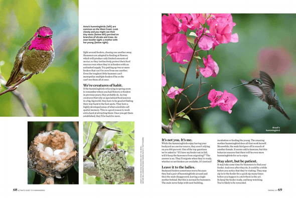 Birds & Blooms Ultimate Guide to Hummingbirds: Discover the Wonders of One of Nature'S Most Magical Creatures - We Love Hummingbirds