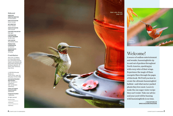 Birds & Blooms Ultimate Guide to Hummingbirds: Discover the Wonders of One of Nature'S Most Magical Creatures - We Love Hummingbirds