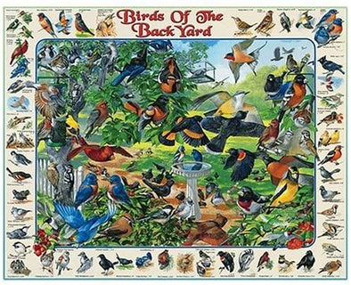 Birds of the Backyard - 1000 Piece Jigsaw Puzzle - We Love Hummingbirds