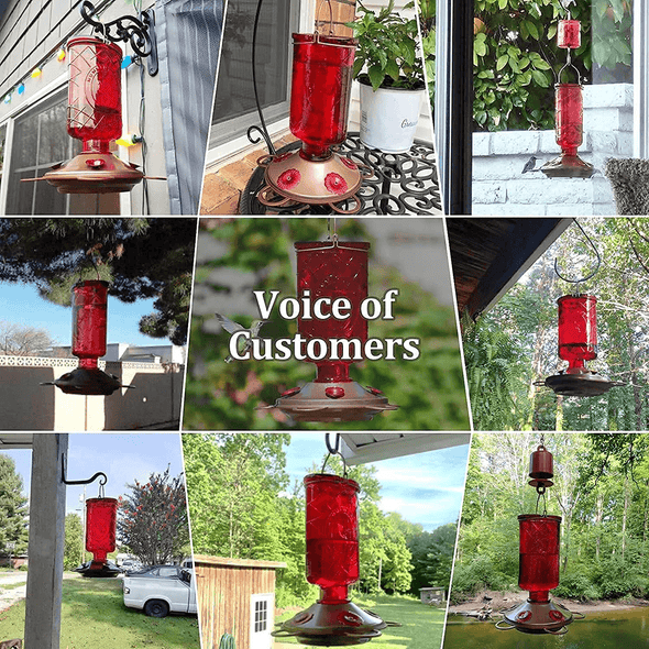 BOLITE 18005 Hummingbird Feeders, Glass Hummingbird Feeders for Outdoors, 5 Feeding Stations, 22 Ounces, Red Bottle - We Love Hummingbirds