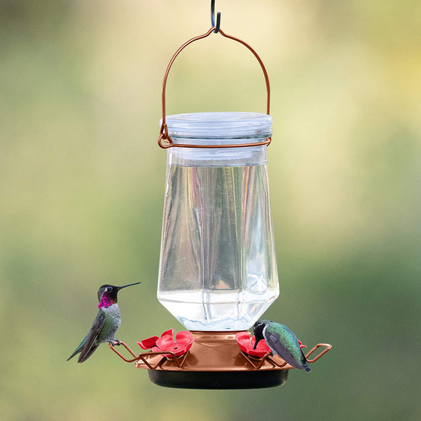 Bronze Top-Fill Glass Hummingbird Feeder - Holds 28 oz of Nectar - We Love Hummingbirds