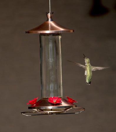 Brushed Metal and Glass Hummingbird Feeder - Super Easy-to-Use & Hummers LOVE It! - We Love Hummingbirds