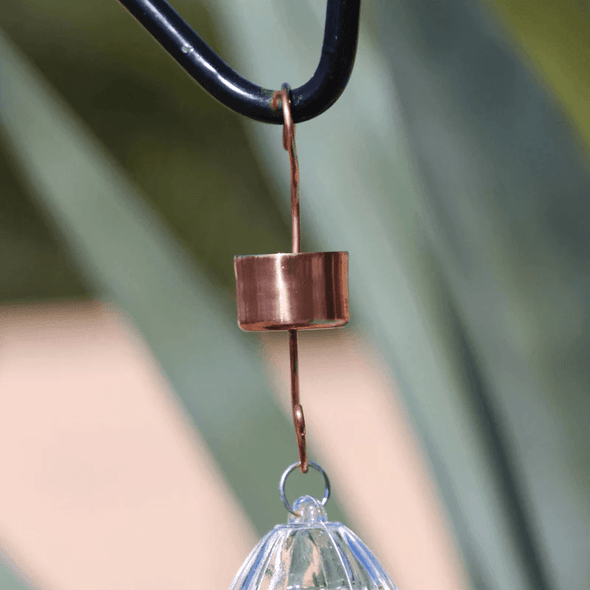 Bundle - Red Glass Hummingbird Feeder + Skinny Ant Moat - We Love Hummingbirds