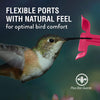 Cactus Glass Hummingbird Feeder - Holds 32 oz of Nectar - We Love Hummingbirds