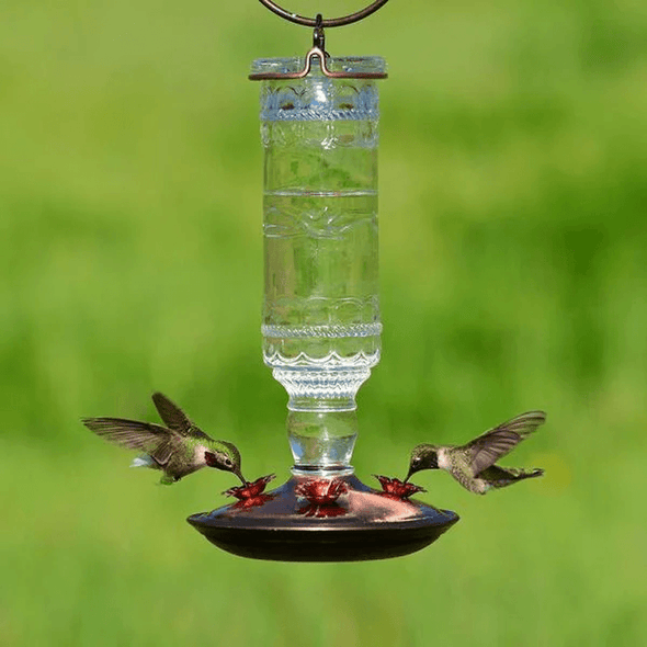 Clear Antique Bottle Decorative Glass Hummingbird Feeder - We Love Hummingbirds