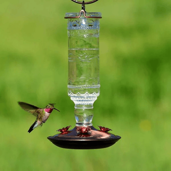 Clear Antique Bottle Decorative Glass Hummingbird Feeder - We Love Hummingbirds