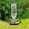 Clear Antique Bottle Decorative Glass Hummingbird Feeder - We Love Hummingbirds