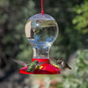 Clear Plastic 16 oz Hummingbird Feeder - We Love Hummingbirds