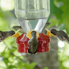 Clear Plastic Lantern Hummingbird Feeder - We Love Hummingbirds