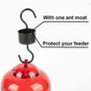 Colorful Red Glass Hummingbird Feeder - Holds 34 oz of Nectar - We Love Hummingbirds