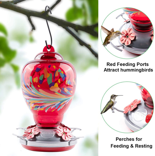 Colorful Red Glass Hummingbird Feeder - Holds 34 oz of Nectar - We Love Hummingbirds
