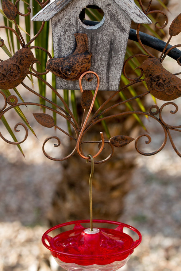 Copper S Hooks for Hanging Hummingbird Feeders - We Love Hummingbirds
