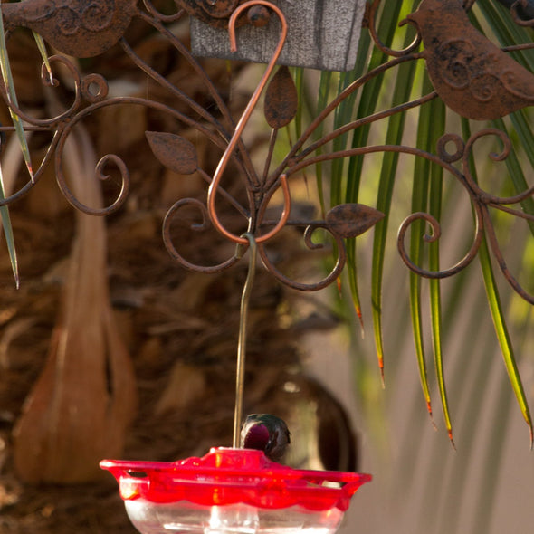 Copper S Hooks for Hanging Hummingbird Feeders - We Love Hummingbirds