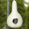Crescent Martin Gourds 4 Pack Birdhouse for Garden Backyard Decor - We Love Hummingbirds