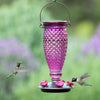 Diamond Purple Glass Hummingbird Feeder - Holds 24 oz of Nectar - We Love Hummingbirds