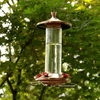Elegant Glass Copper Hummingbird Feeder - We Love Hummingbirds