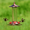 Elegant Glass Copper Hummingbird Feeder - We Love Hummingbirds