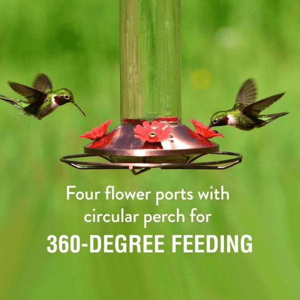 Elegant Glass Copper Hummingbird Feeder - We Love Hummingbirds