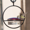 "Everything But the Kitchen Sink" Gift Set - We Love Hummingbirds