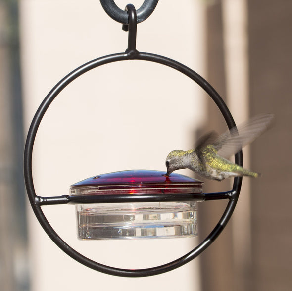 "Everything But the Kitchen Sink" Gift Set - We Love Hummingbirds