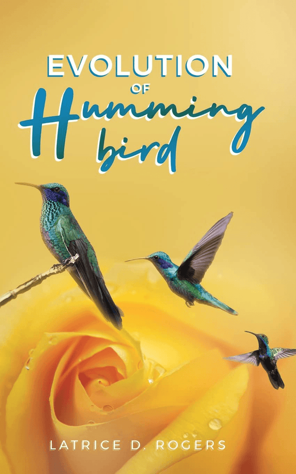 Evolution of Hummingbird - We Love Hummingbirds