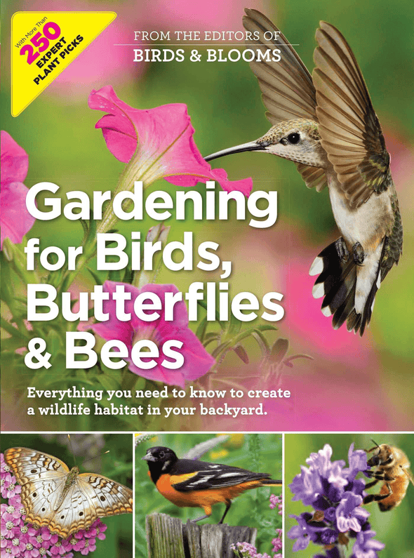 Gardening for Birds, Butterflies, and Bees: Everything You Need to Know to Create a Wildlife Habitat in Your Backyard - We Love Hummingbirds