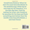 Gerald the Hummingbird - We Love Hummingbirds