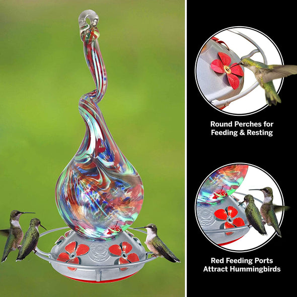 Gnarly Glass Neck Gourd Hand Blown Glass Hummingbird Feeder - Holds 16oz of Nectar - We Love Hummingbirds