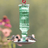 Green Antique Bottle Decorative Glass Hummingbird Feeder - We Love Hummingbirds