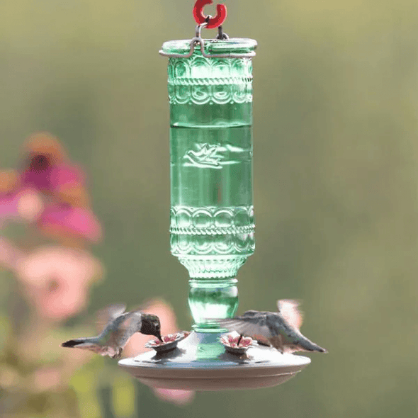 Green Antique Bottle Decorative Glass Hummingbird Feeder - We Love Hummingbirds