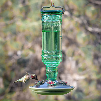 Green Antique Bottle Hummingbird Feeder - Holds 10 oz of Nectar - We Love Hummingbirds