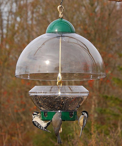 Green Big Top Squirrel Resistant Bird Feeder - We Love Hummingbirds