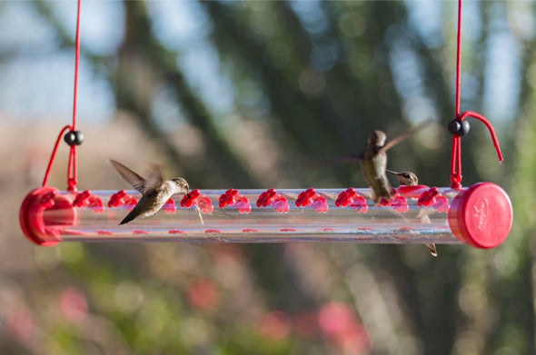 Horizontal Bar-Shaped Hummingbird Feeder - With 22 Nectar Ports - We Love Hummingbirds