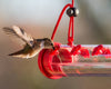 Horizontal Bar-Shaped Hummingbird Feeder - With 22 Nectar Ports - We Love Hummingbirds