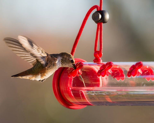 Horizontal Bar-Shaped Hummingbird Feeder - With 22 Nectar Ports - We Love Hummingbirds