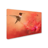 Hummingbird and Peach Hibiscus Animal Wall Art - We Love Hummingbirds