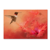 Hummingbird and Peach Hibiscus Animal Wall Art - We Love Hummingbirds